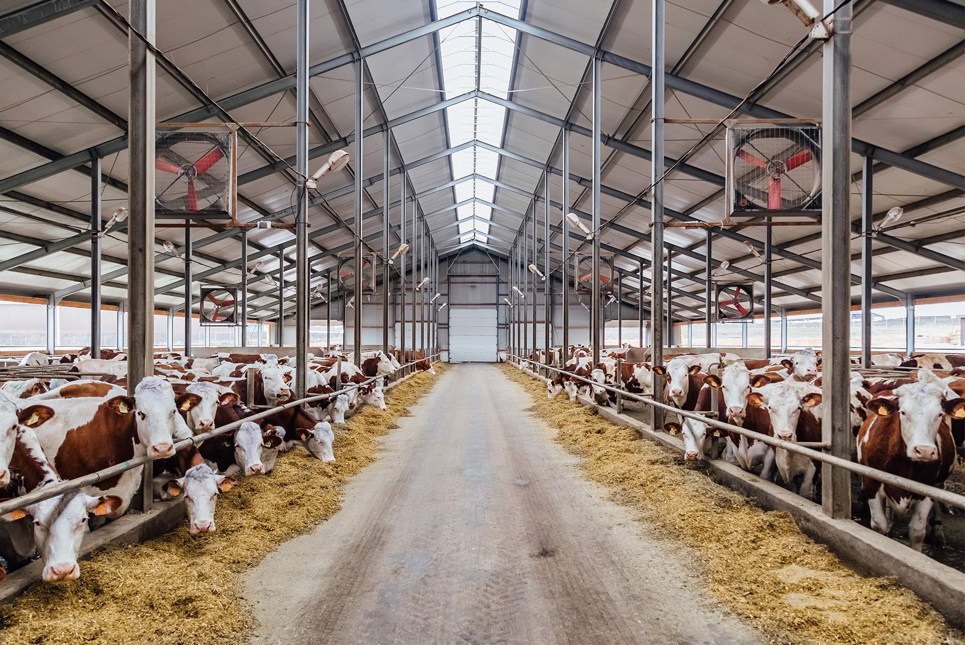 Landwirtschaft
