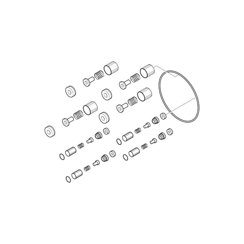 Reparatursatz Ein-Auslas REP.KIT F. VALVE SYSTEM