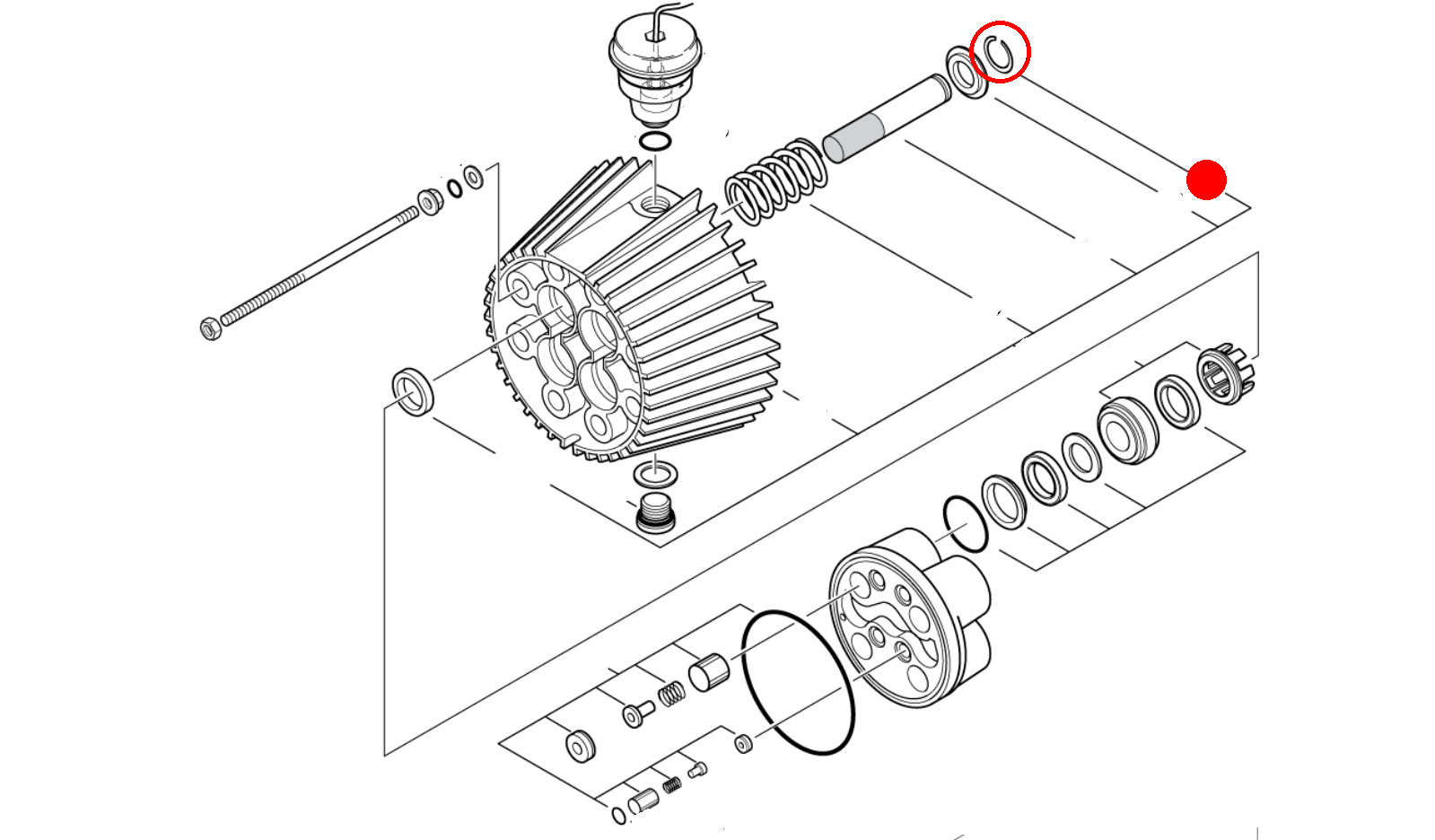 Sicherungsring 24 CIRCLIP