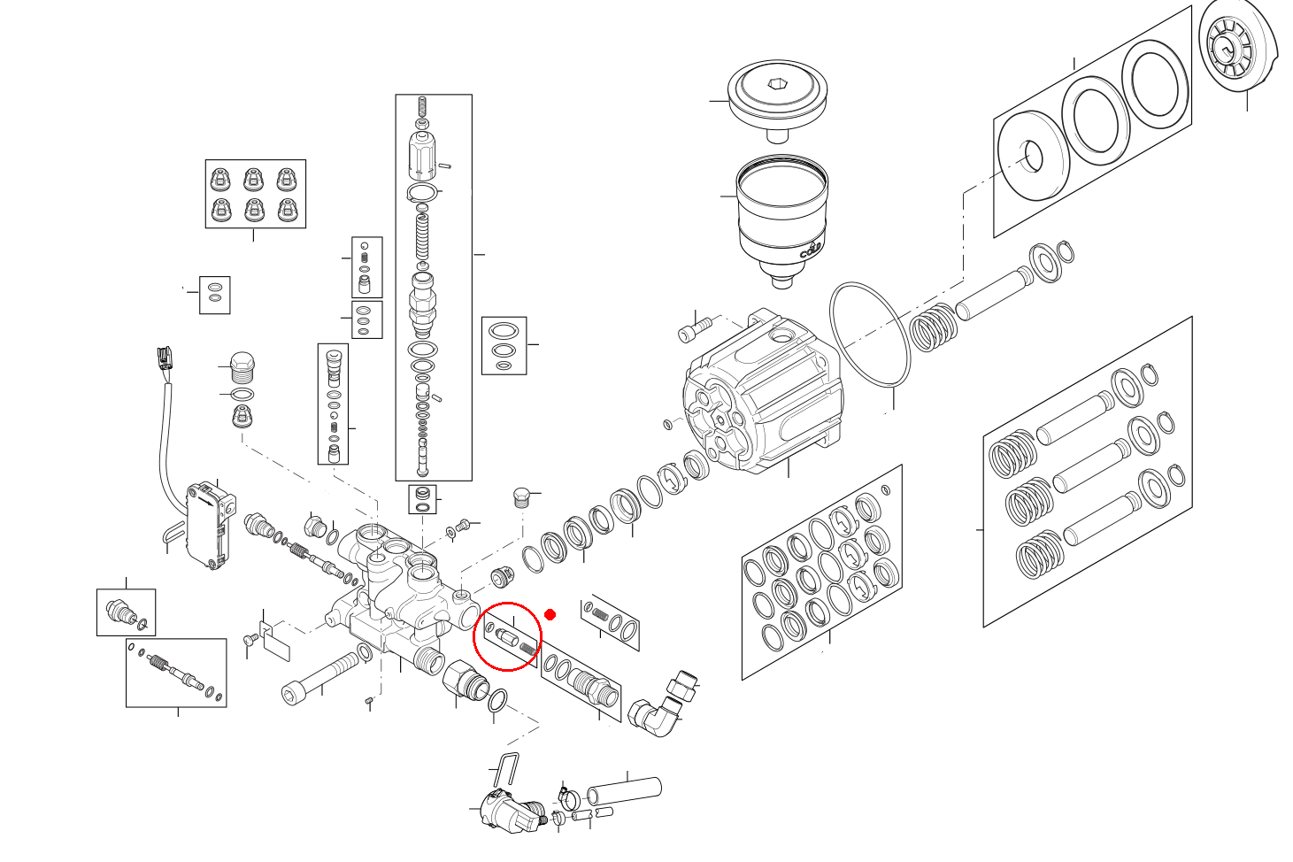 INJECTOR NON-RETURN VALVE